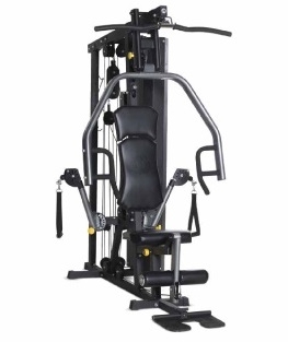 Aparat multifunctional fitness Horizon TORUS 3