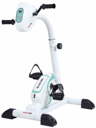 Bicicleta electrica recuperare Everfit Welly E Combi