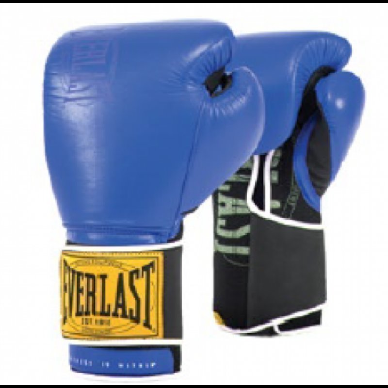 Manusi De Box Profesionale Everlast 1910 Sportist