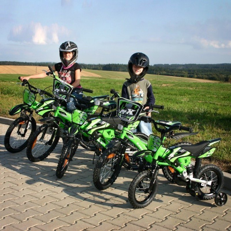 Bicicleta Copii Kawasaki Buddy 14 Sportist