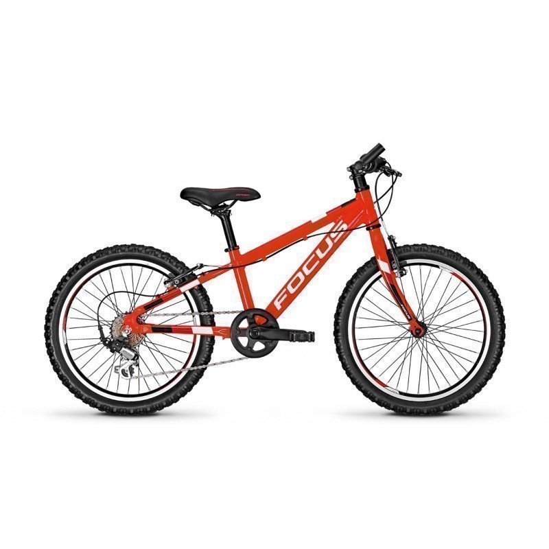 Bicicleta focus raven discount rookie