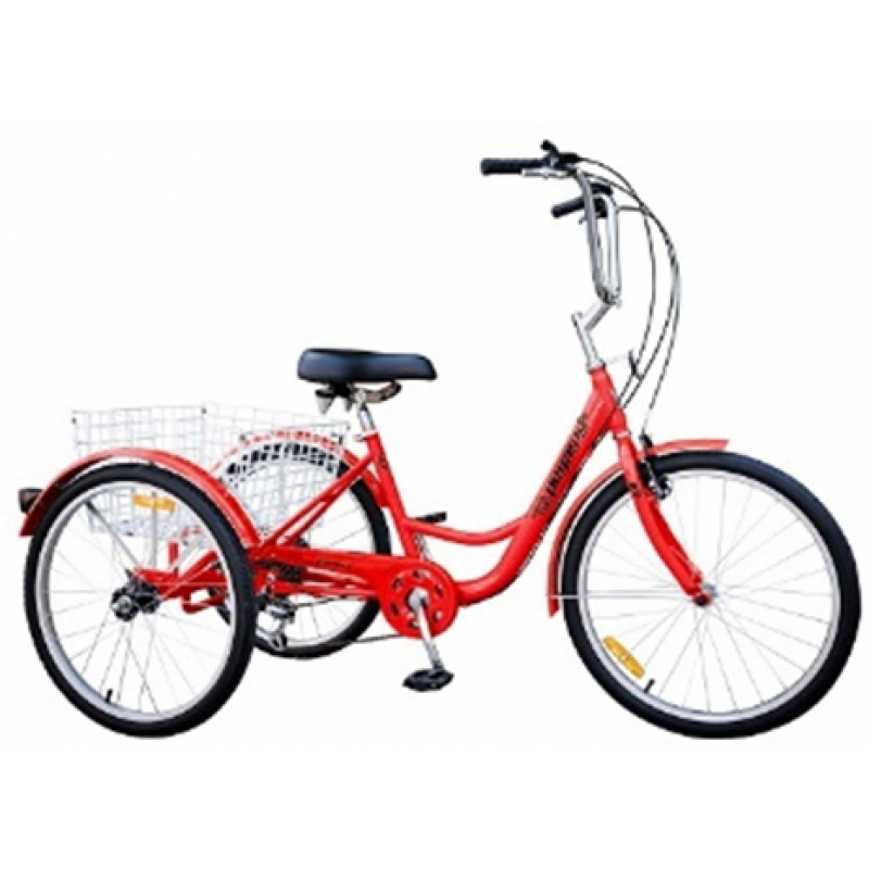 Super Dragut Ceas Cumpara Online Biciclete El Pe 3 Roti Adulti