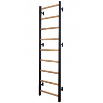 Spalier gimnastica inSPORTline BenchK 310