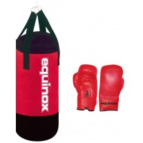 Sac de box cu manusi Equinox 3 Kg