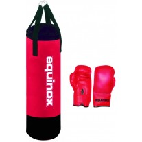 Sac de box cu manusi Equinox 6 Kg