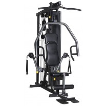 Aparat multifunctional fitness Horizon TORUS 3
