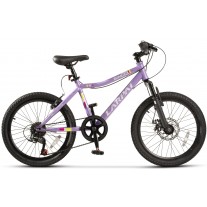 Bicicleta copii Carpat C2011A 20"