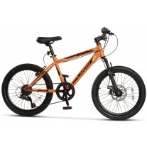Bicicleta copii Carpat C2012A 20"