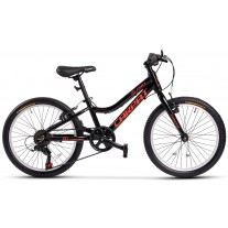 Bicicleta copii Carpat C20208C 20"