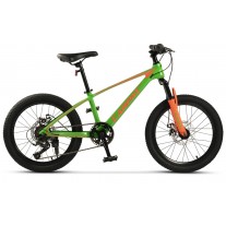 Bicicleta copii MTB Carpat C20342A 20"