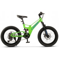 Bicicleta copii MTB Carpat C20344A 20"