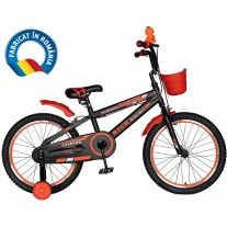 Bicicleta copii Rich Baby T2002C