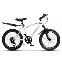 Bicicleta copii Velors V20215G 20"