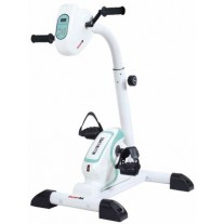 Bicicleta electrica recuperare Everfit Welly E Combi