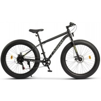 Bicicleta Fat Bike Carpat C26217A