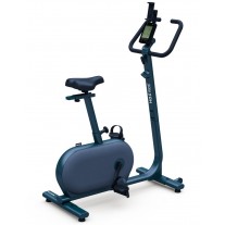 Bicicleta fitness Kettler Hoi Ride Blueberry Green