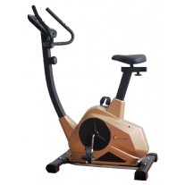 Bicicleta fitness magnetica FitTronic 601B Bluetooth