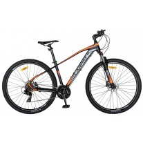 Bicicleta MTB Carpat C2959H
