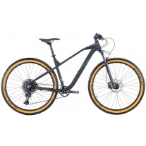 Bicicleta MTB Raymon HardRay Nine 6.0 29"