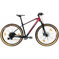 Bicicleta MTB Sprint Apolon 12 29"