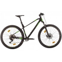 Bicicleta MTB Sprint Apolon Pro 29"