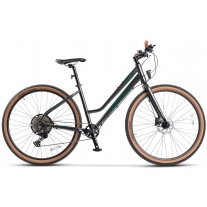 Bicicleta Trekking Carpat C29272H 29"