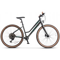 Bicicleta Trekking Carpat C29272H 29"