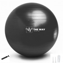 Minge fitness TheWay Fitness 55cm