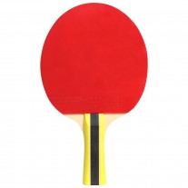 Paleta tenis de masa Cornilleau Sport 400