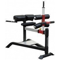 Aparat hiperextensii Impulse Fitness SL 7013