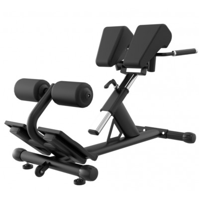 Aparat hiperextensii TheWay Fitness ZH-026A