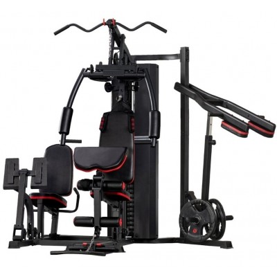 Aparat multifunctional cu 3 statii TheWay Fitness MS635S
