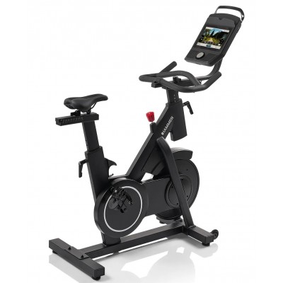 Bicicleta Indoor Cycling Hammer Speed Race SR