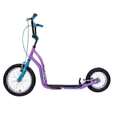 Trotineta inSPORTline Suter SE