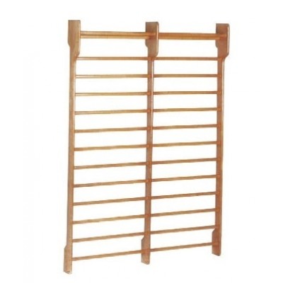 Spalier dublu gimnastica Toorx 180 x 250cm