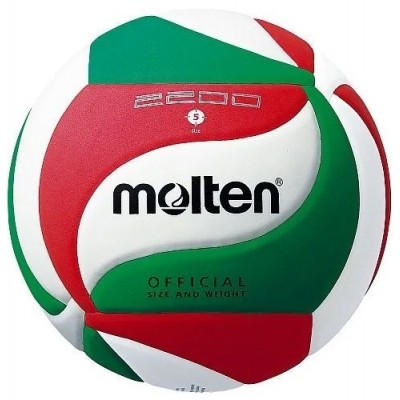Minge volei Molten V5M2200