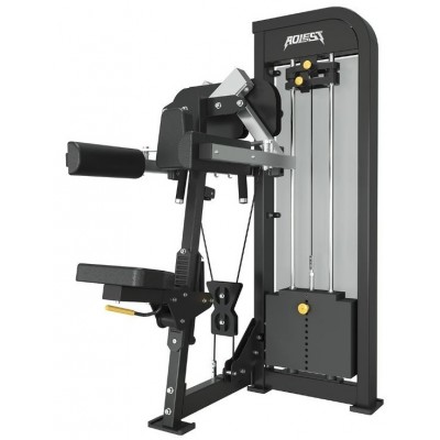 Aparat ridicari laterale Sportmann ALA4005