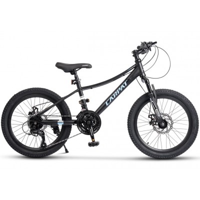 Bicicleta copii Carpat Polestar C20261A