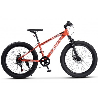 Bicicleta copii E-Carpat Ride S24109C 24"