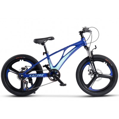 Bicicleta copii MTB Carpat C20343A 20"