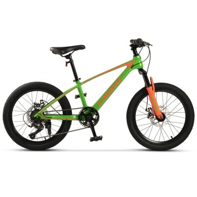 Bicicleta copii MTB Carpat C20342A 20"