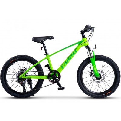 Bicicleta copii Carpat Hiro C20342A 20"