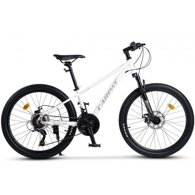 Bicicleta copii Carpat Pro Teen C24472A 24