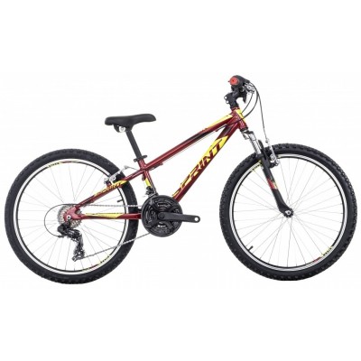 Bicicleta copii Sprint Hat Trick 24"