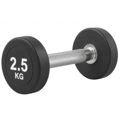 Gantera SportMann Profi CPU 2.5 kg