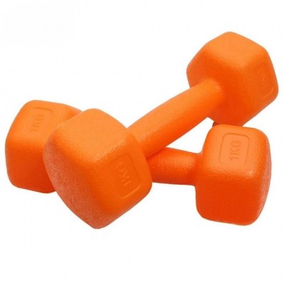 Set gantere FitTronic 2 x 1 Kg