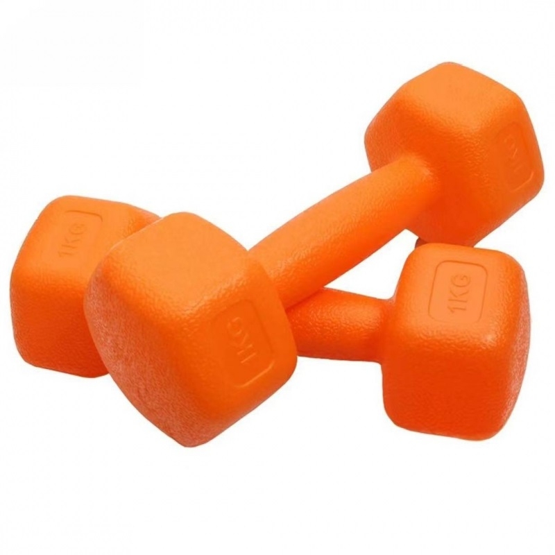 Set gantere FitTronic 2 x 1 Kg